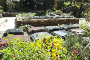 Gemini_Generated_Image_x4eddpx4eddpx4ed