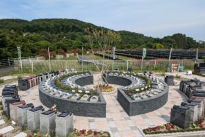 PXL_20250606_054614124